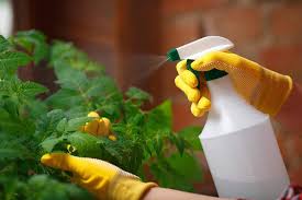 Organic Pesticides